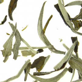 "Guangxi Silver Needle Top Grade" Special Selection - Loose Leaf  White Tea