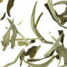 Tè Bianco "Silver Neddle Guangxi"