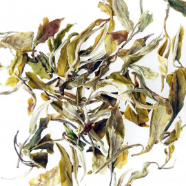 "Bai Mu Dan Guangxi Special" - White Tea