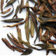 "Wild Bud" - Loose Leaf Green Puerh Tea