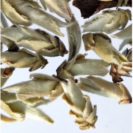 Arbor Buds - White Tea