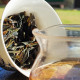 Mingzhe - Loose Leaf Green Puerh Tea