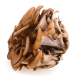 Maitake Extract 8:1