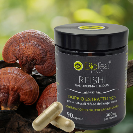 Reishi Double Extract 15:1