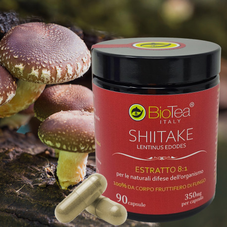 Shiitake extract 8:1