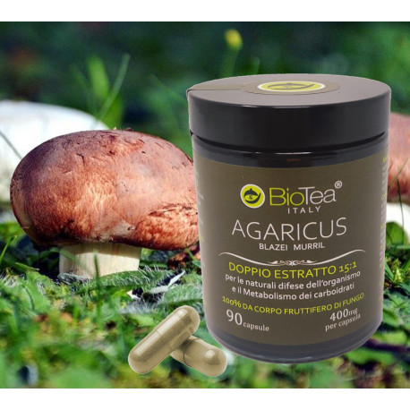 Shaggy Mane (Coprinus comatus) Mushroom Extract 8:1