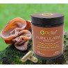 Auricularia Auricula Judae