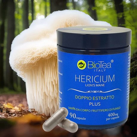 Lion's Mane (Hericium)