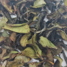 "Marvelous Green"- Loose Leaf Green Tea