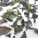 "Marvelous Green"- Loose Leaf Green Tea
