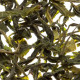 Mao Feng Green Tea